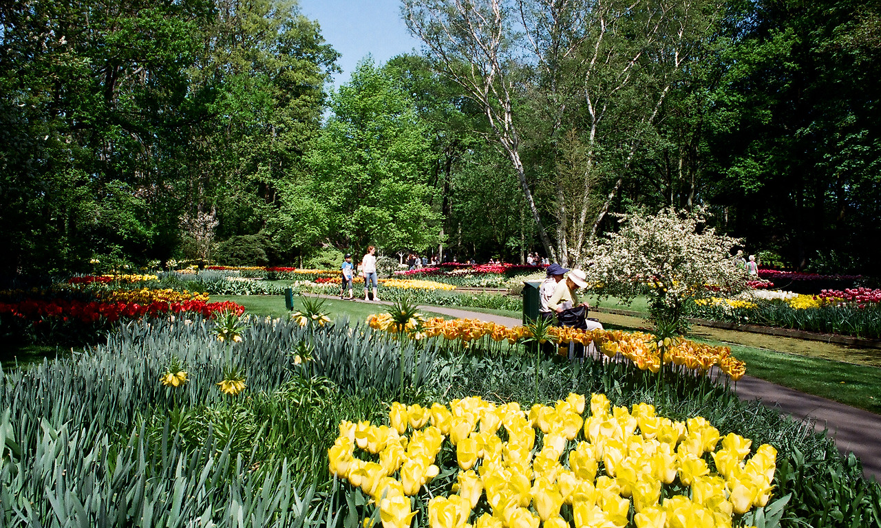 000003690008 copy.jpg