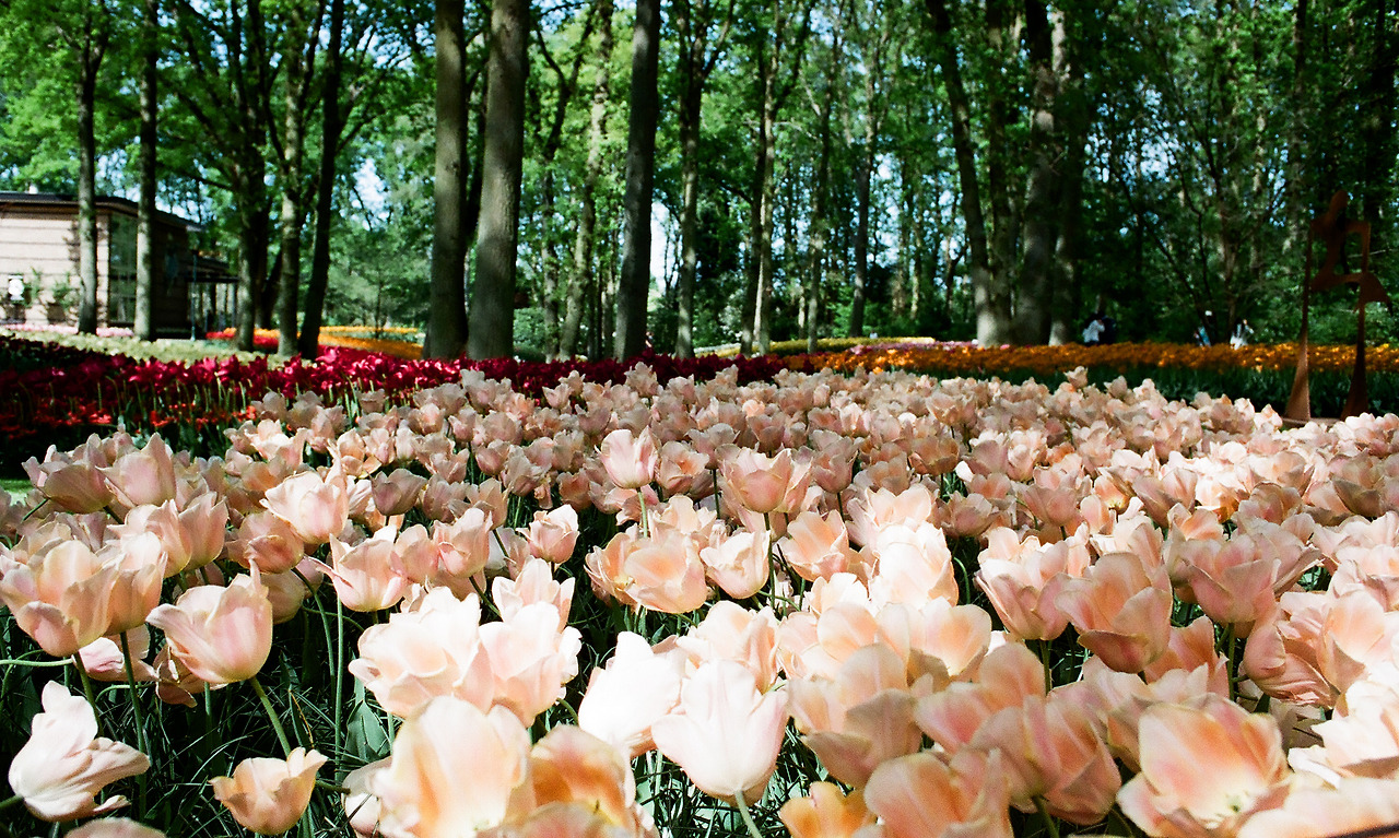 000003690023 copy.jpg