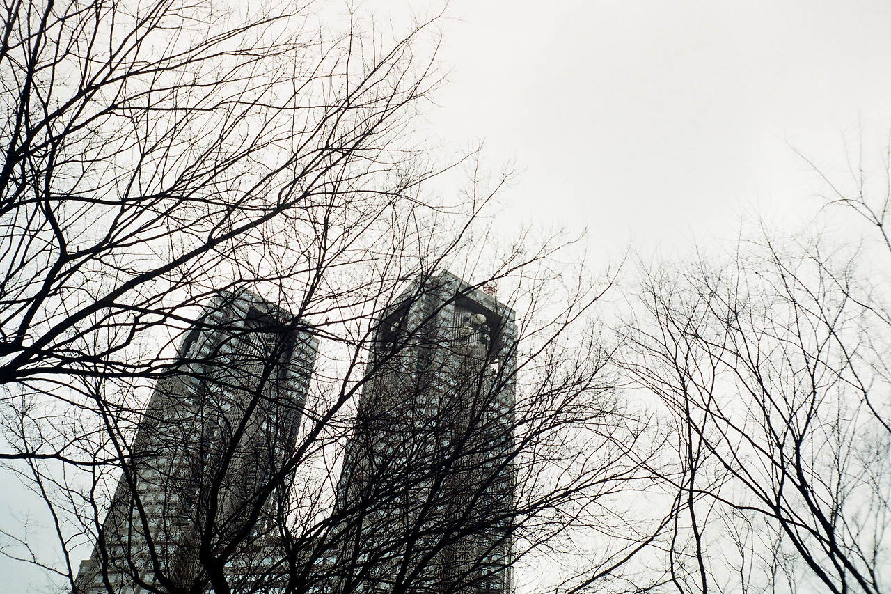 000003650014 copy.jpg