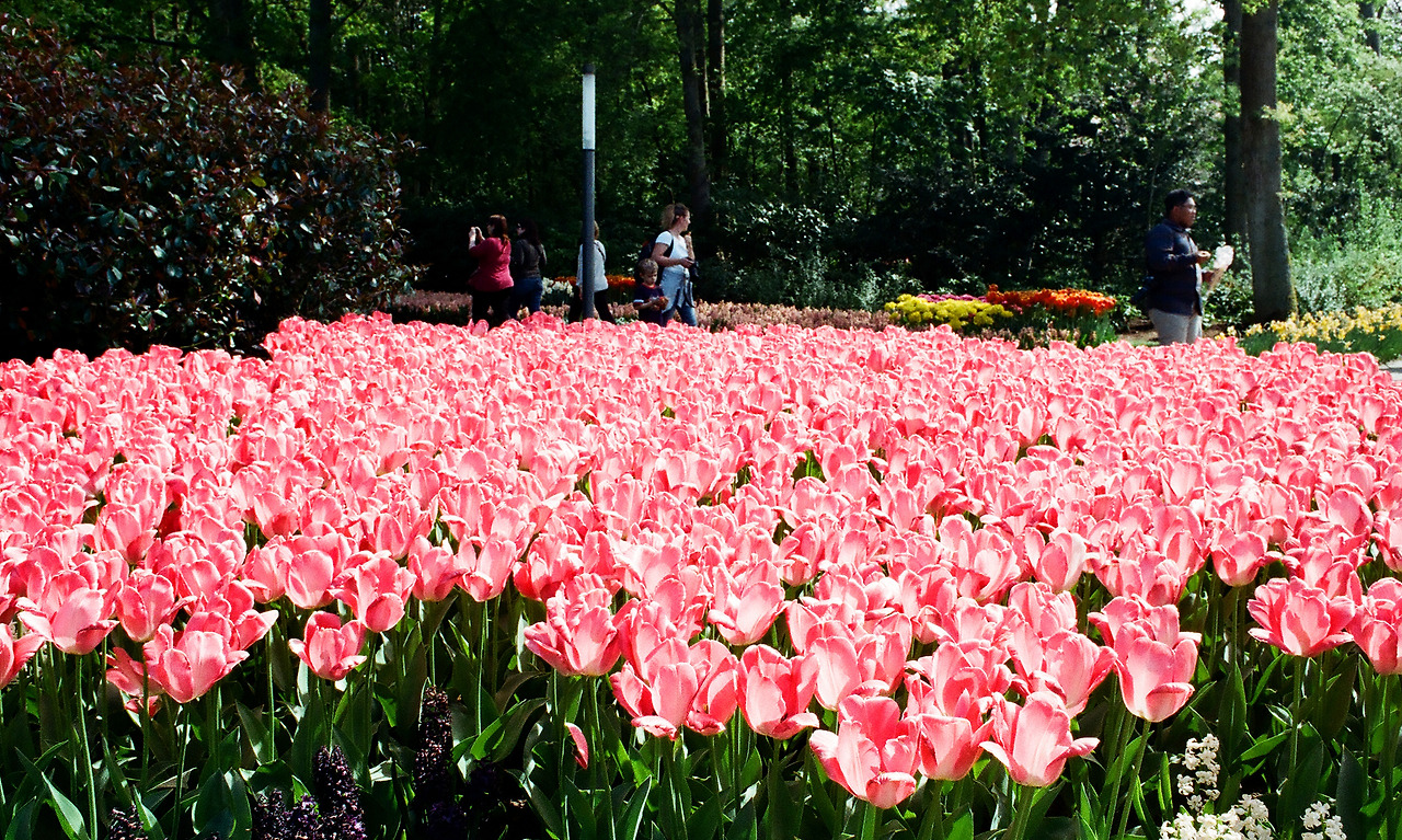 000003690012 copy.jpg