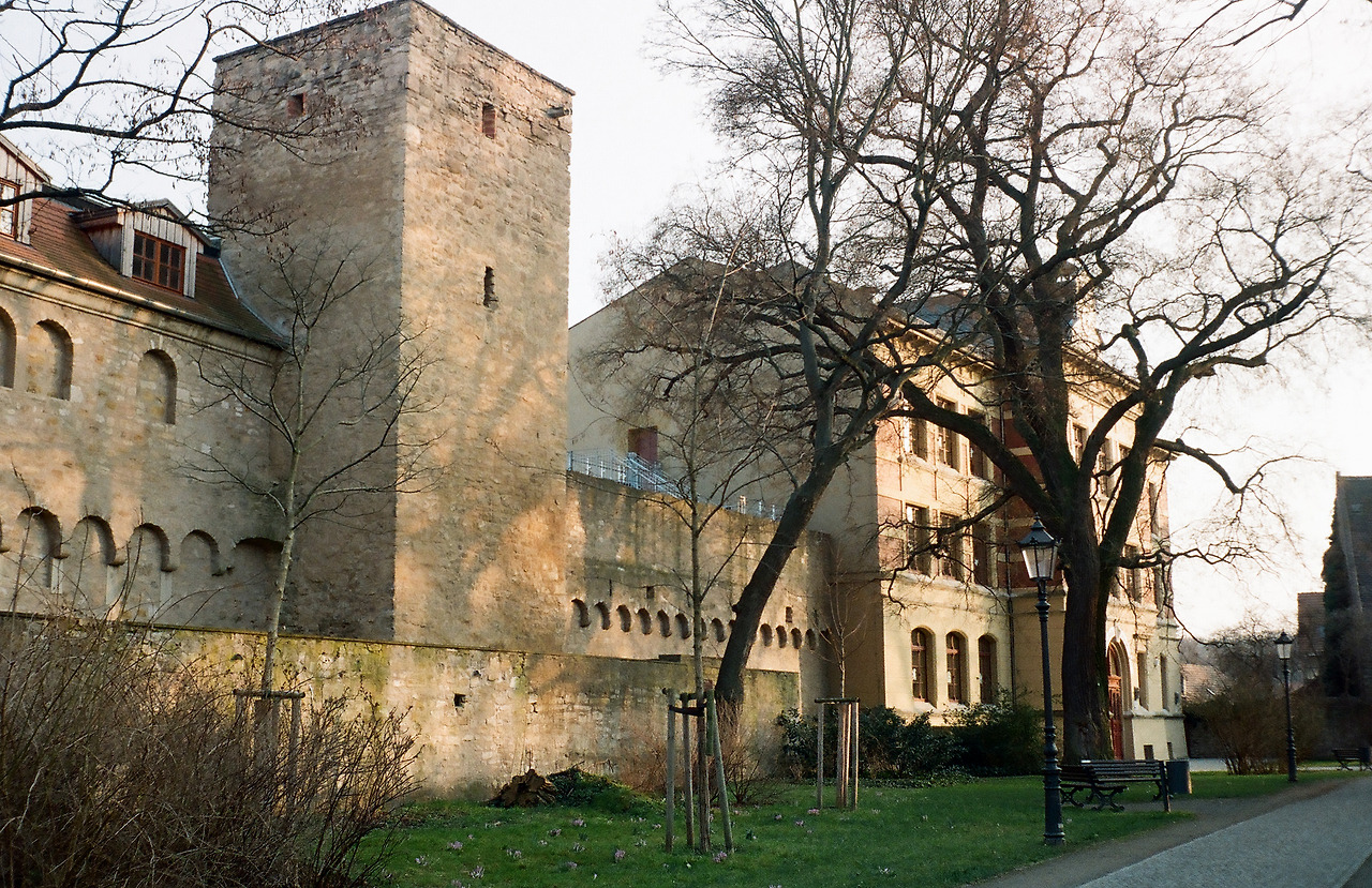 000003600035 copy.jpg