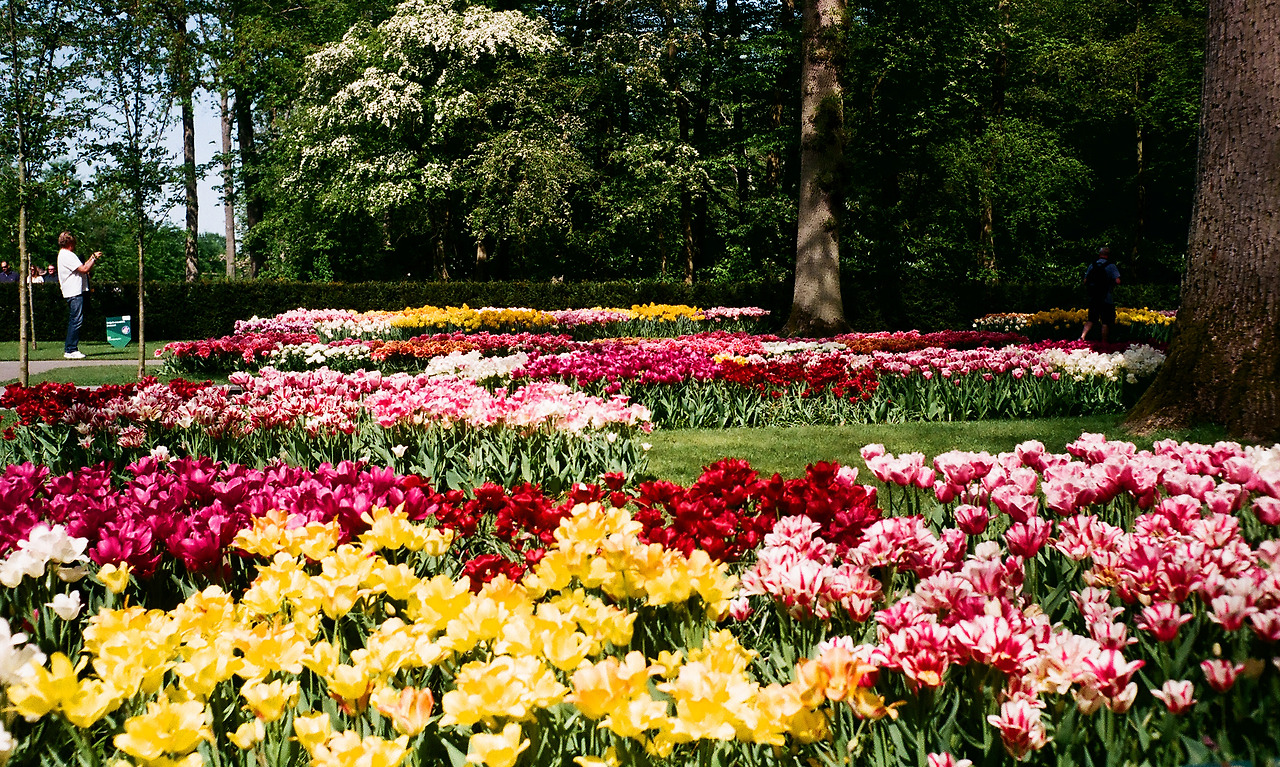 000003540013 copy.jpg