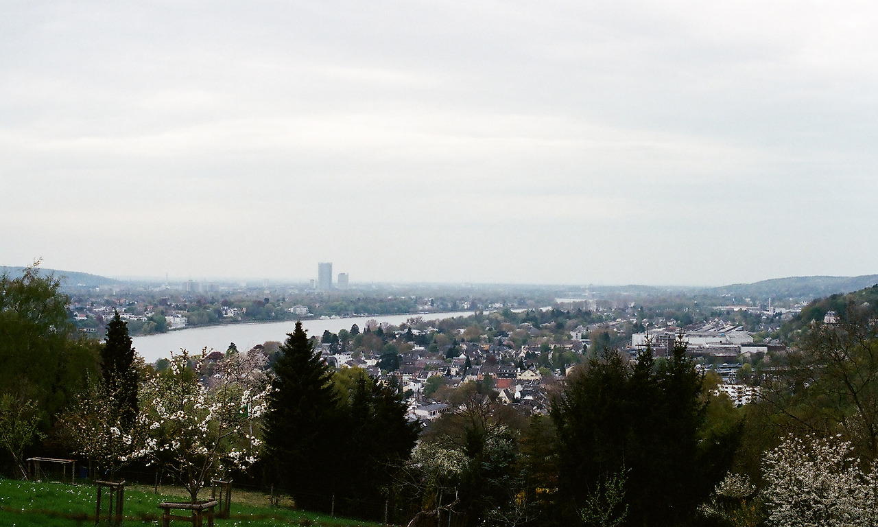 000003740024 copy.jpg