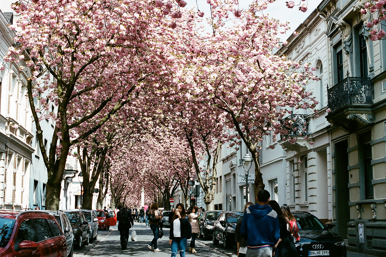 000003740011 copy.jpg