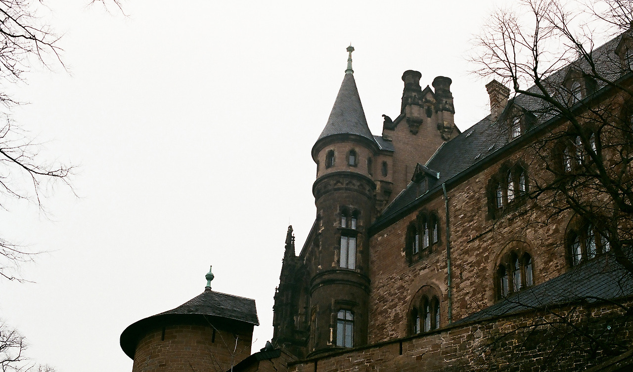 000003530031 copy.jpg