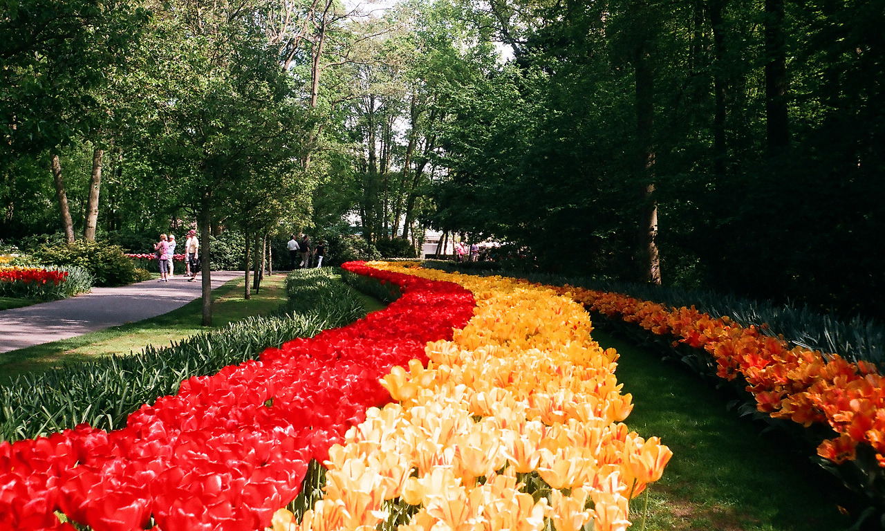 000003540011 copy.jpg