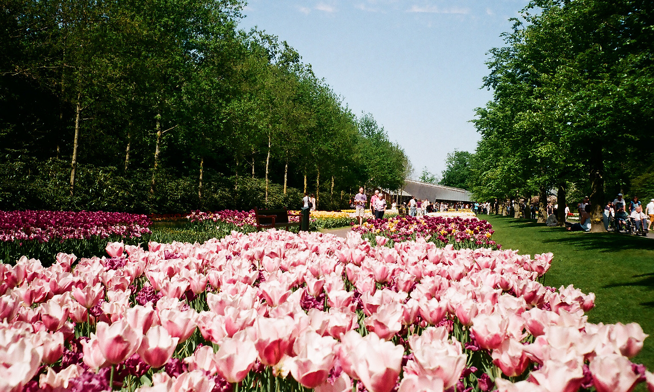 000003540010 copy.jpg