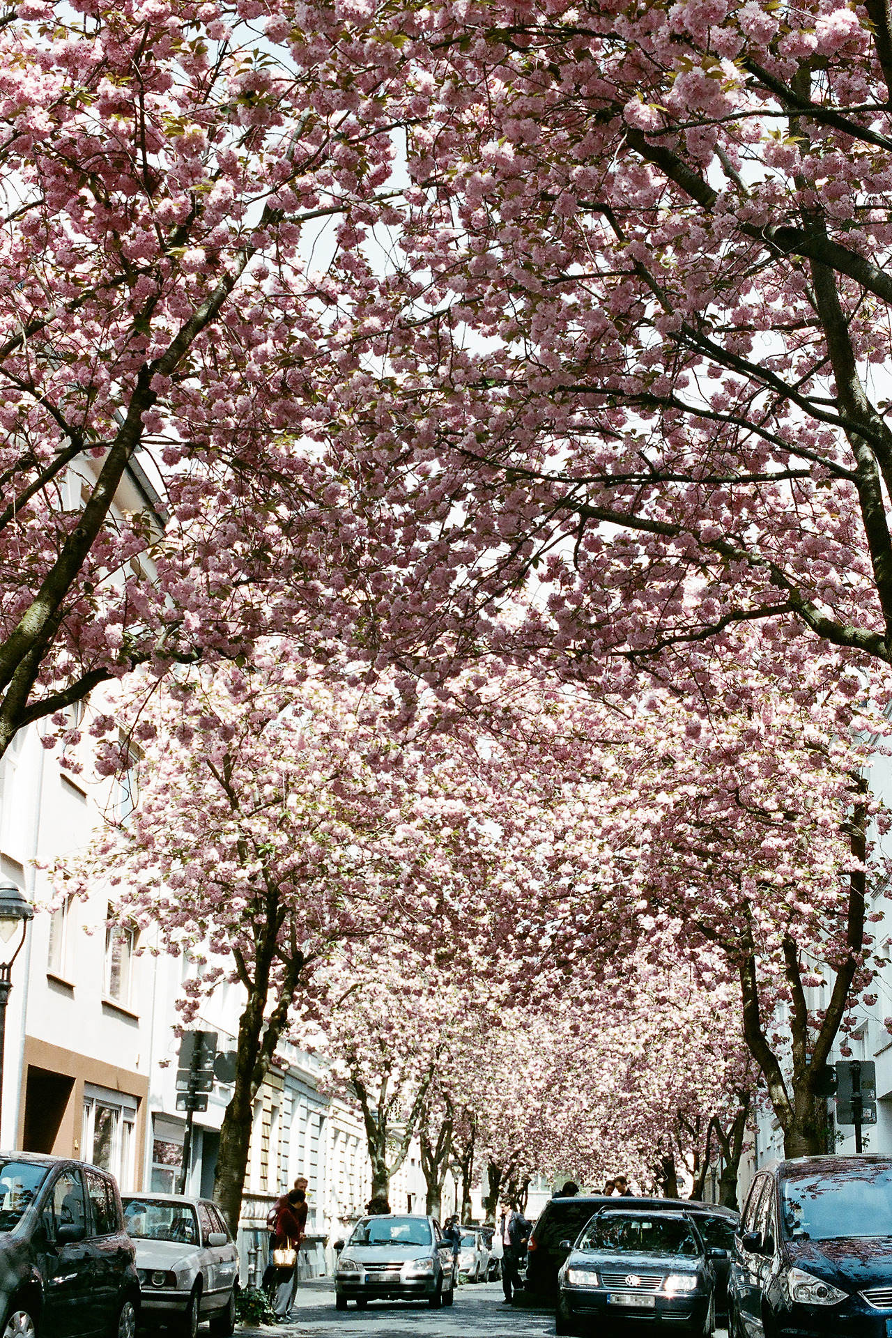 000003740013 copyup.jpg