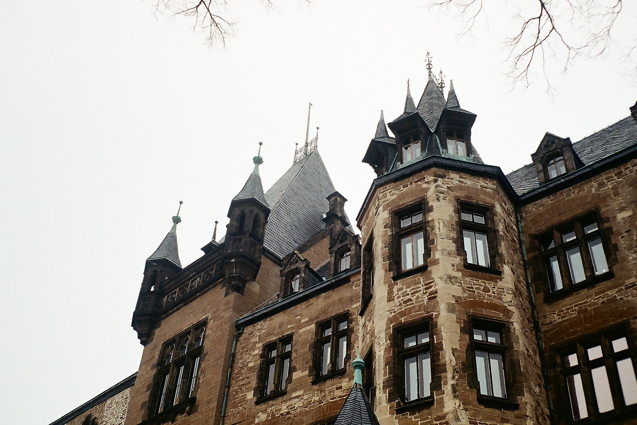 000003720008 copy.jpg