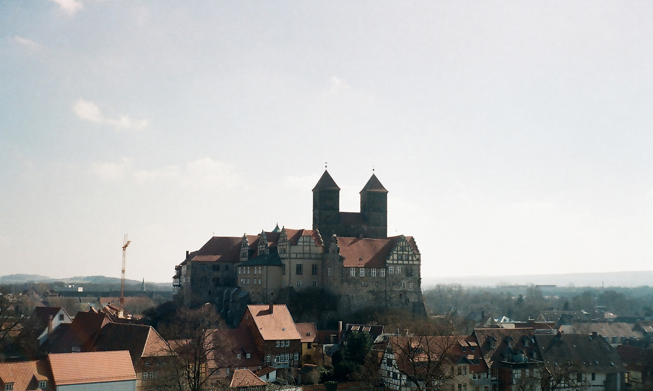 000003600031 copy.jpg