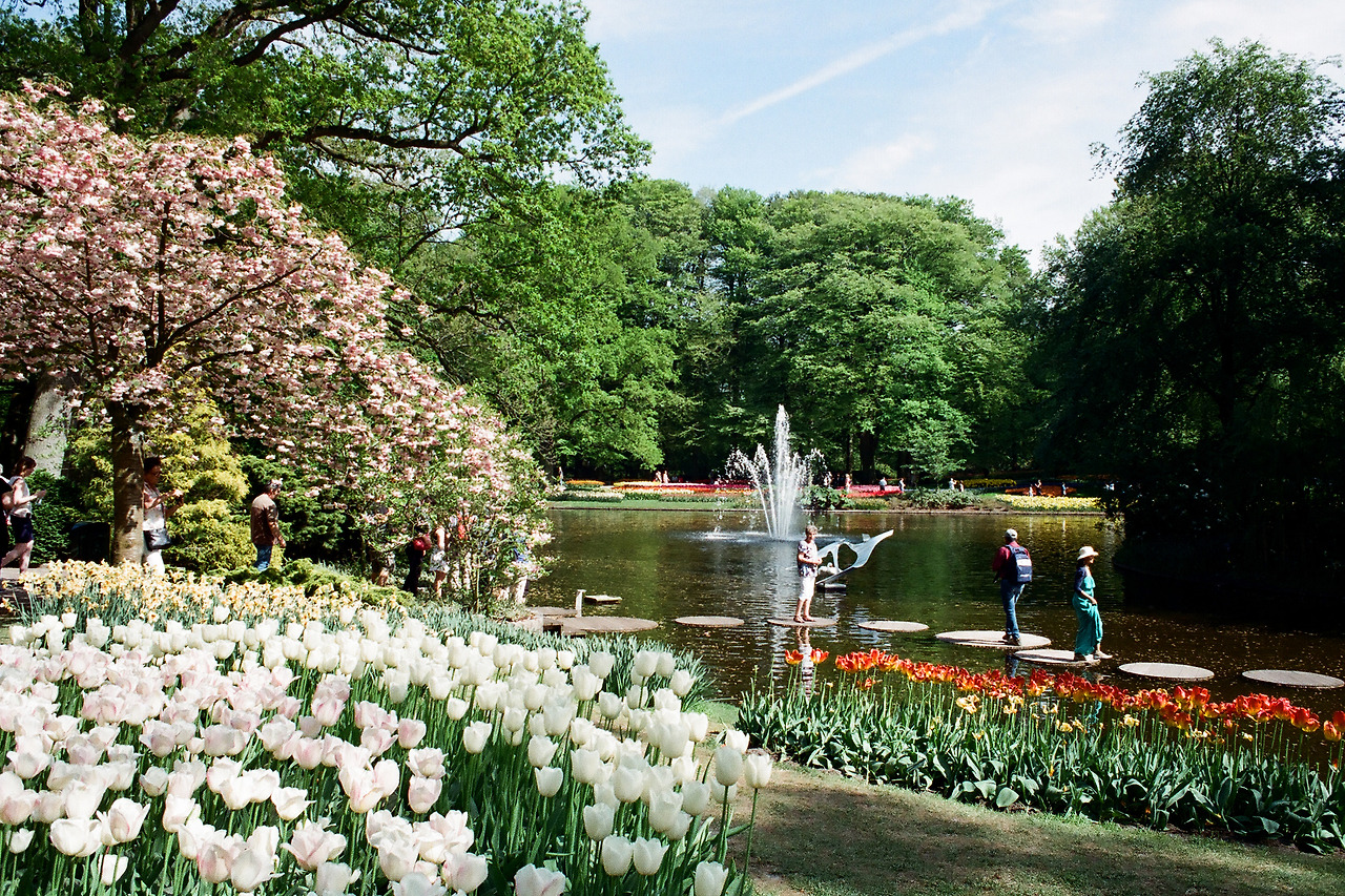 000003690020 copy.jpg