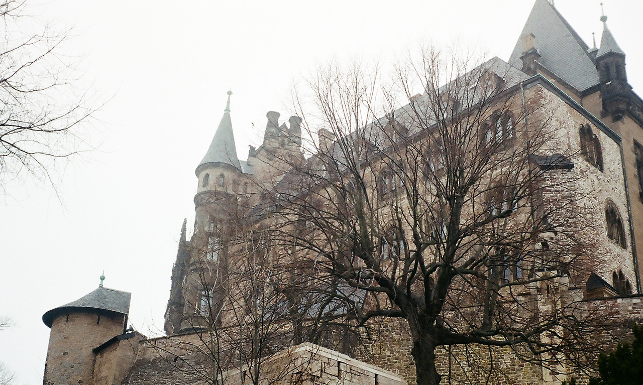 000003720003 copy.jpg