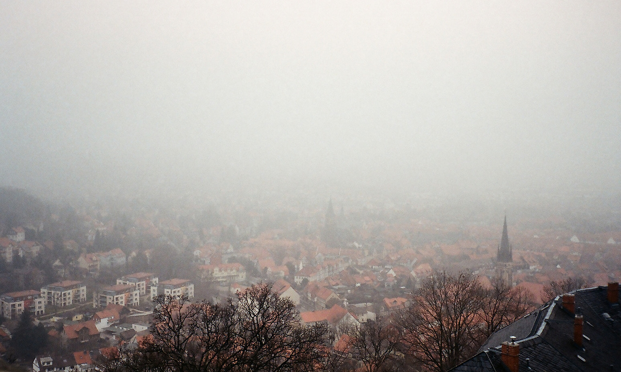 000003720005 copy.jpg