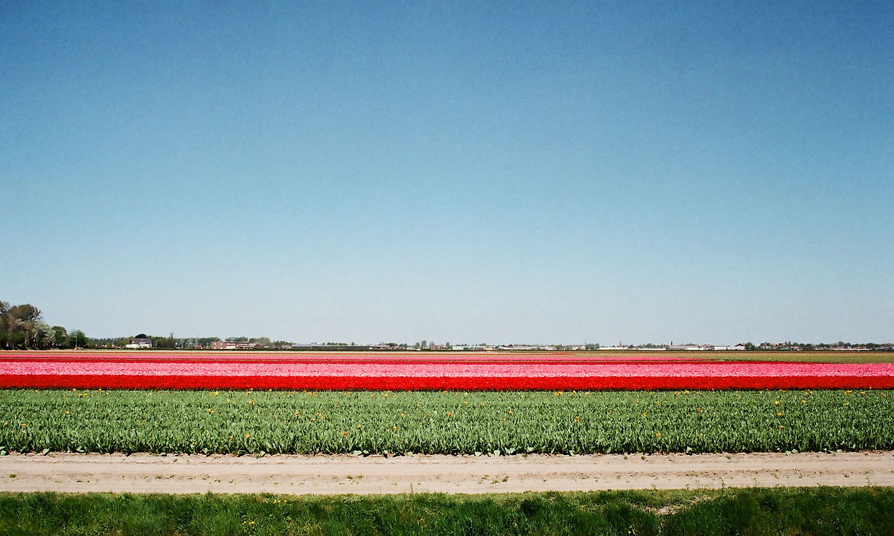 000003690006 copy.jpg