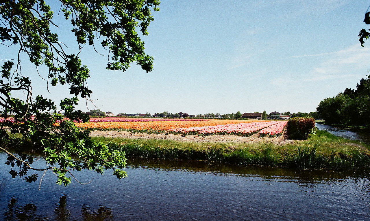 000003690004 copy.jpg