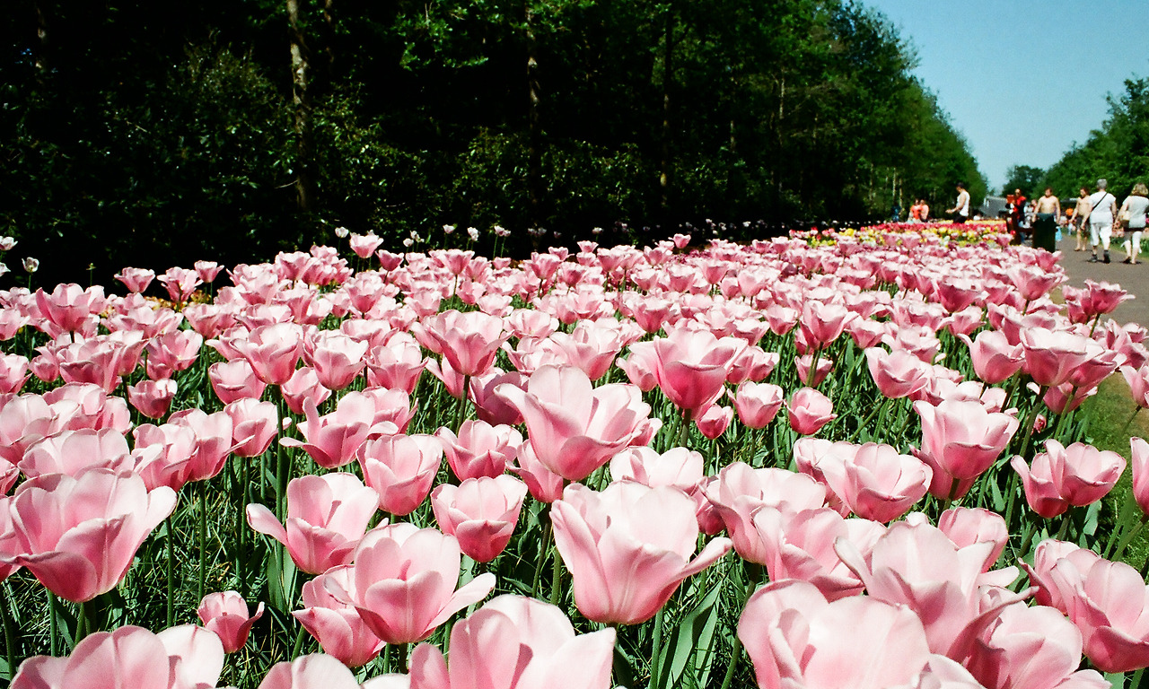 000003690010 copy.jpg