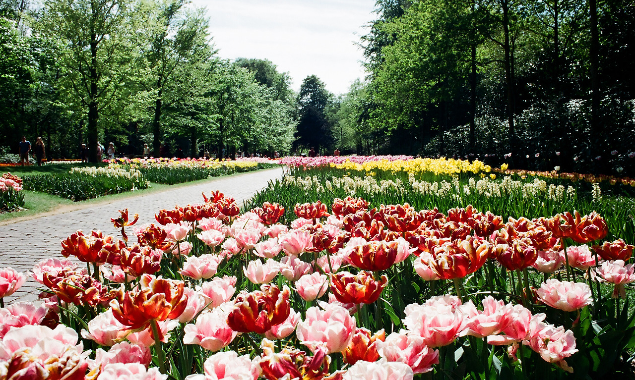 000003690011 copy.jpg