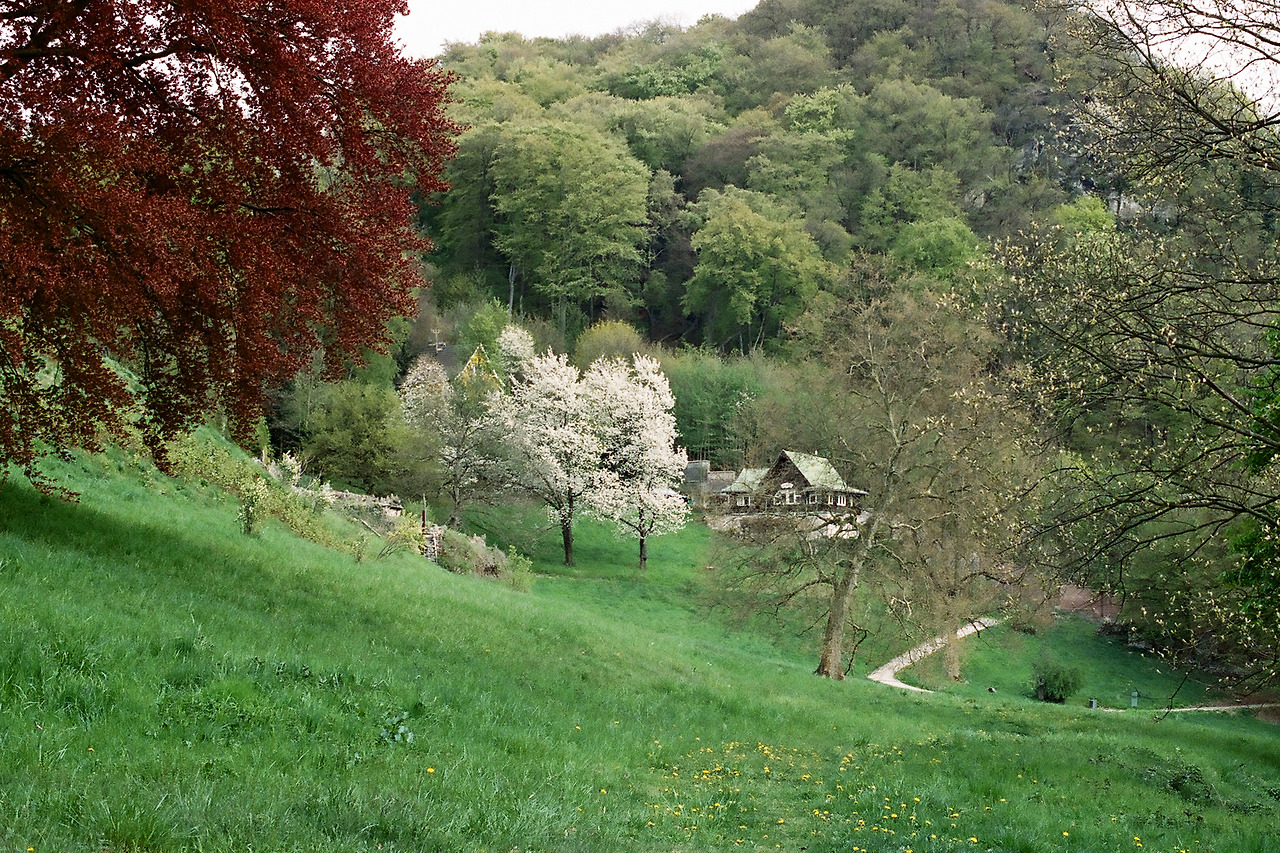 000003740021 copy.jpg