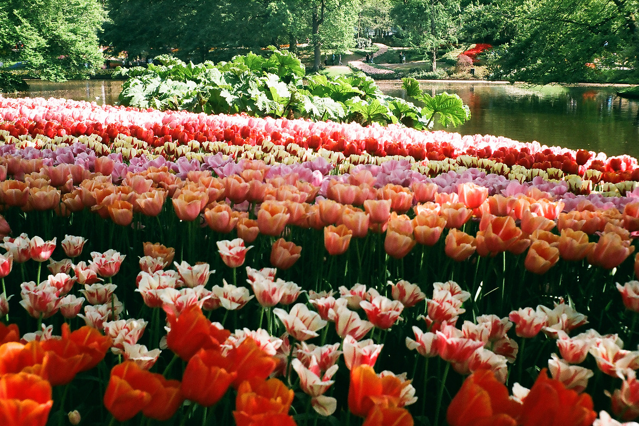 000003540015 copy.jpg