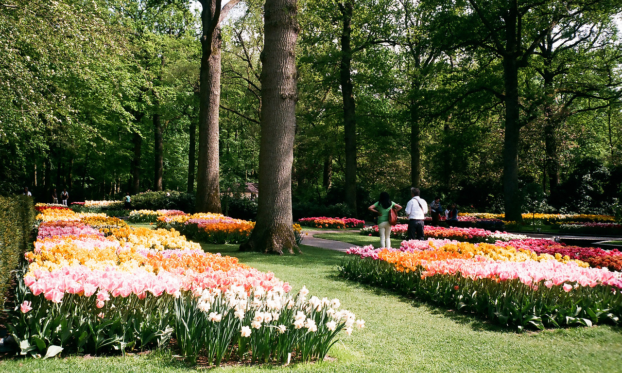 000003540012 copy.jpg