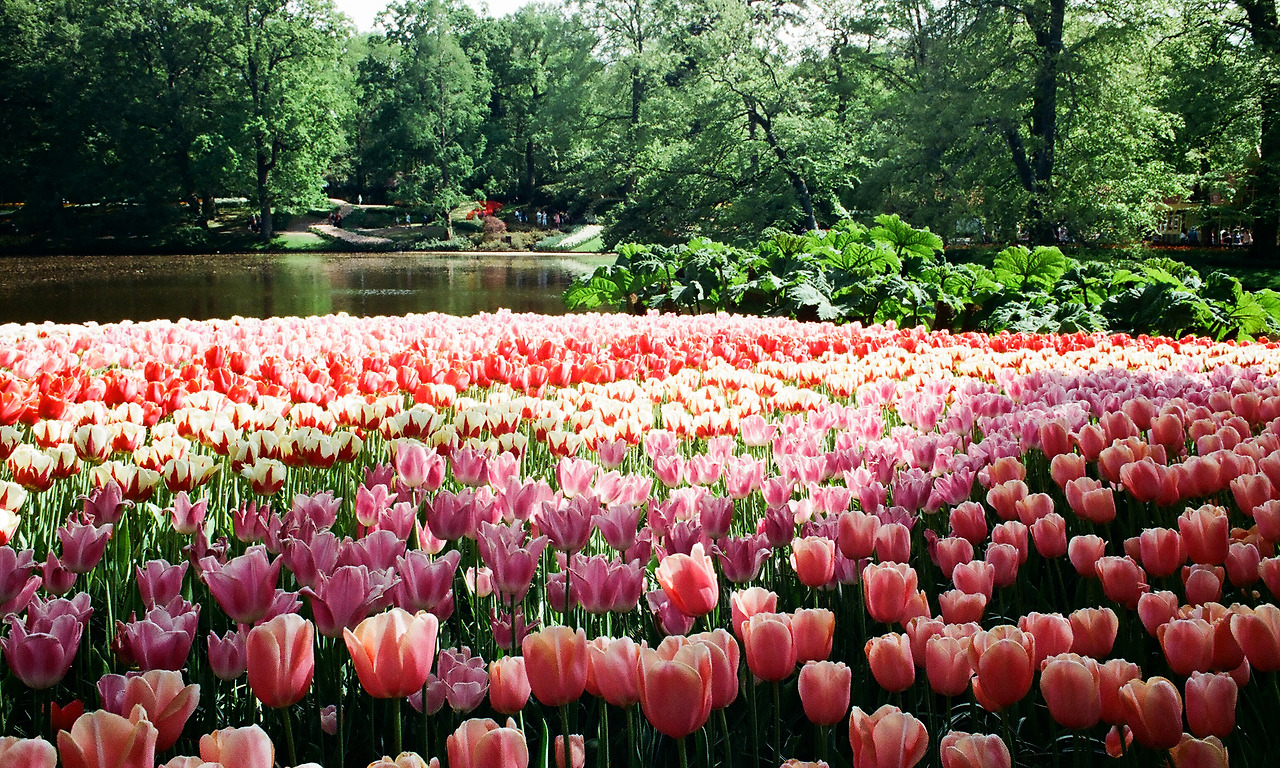 000003690019 copy.jpg