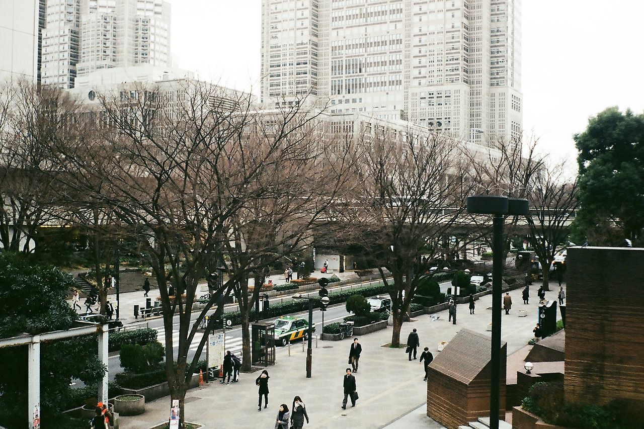 000003650013 copy.jpg