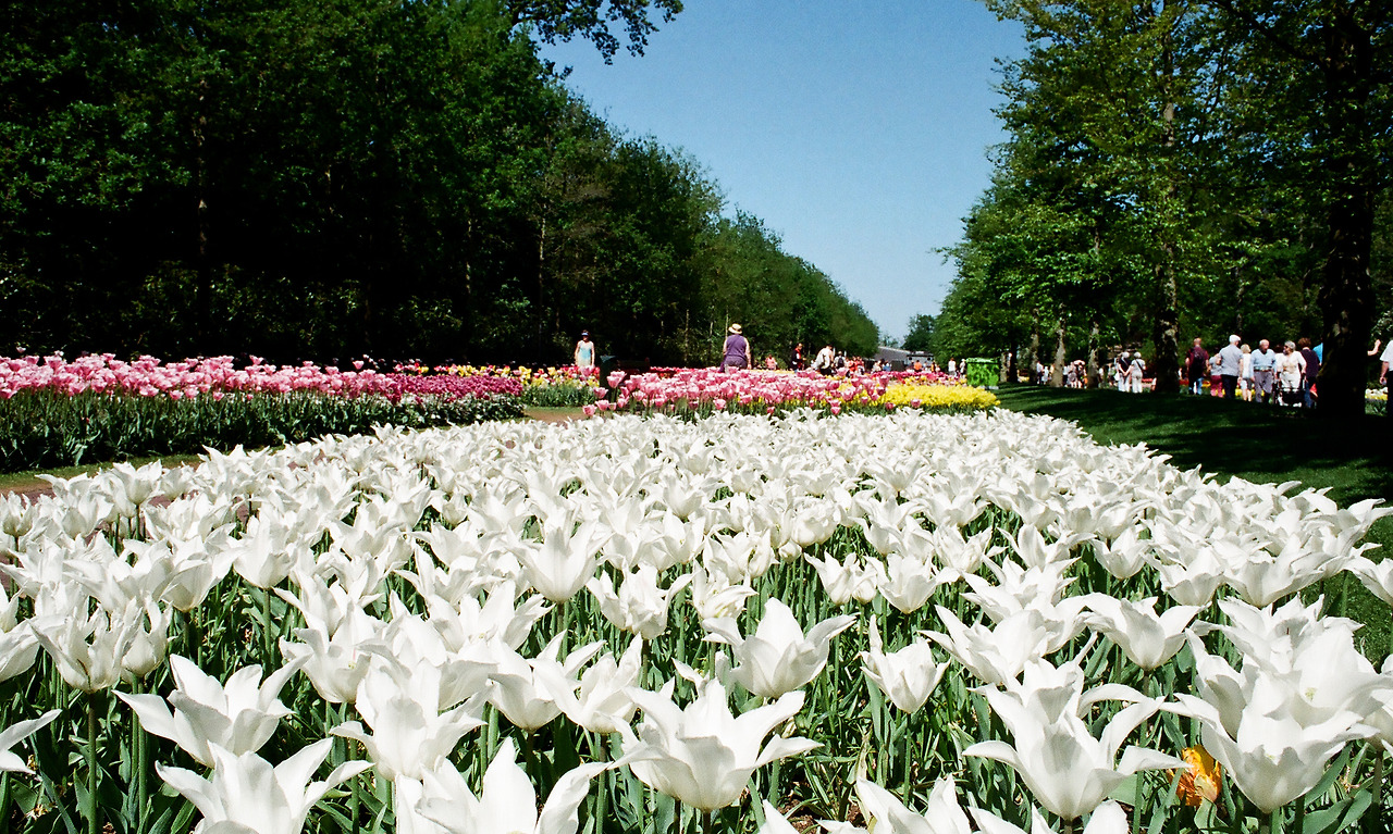 000003690009 copy.jpg