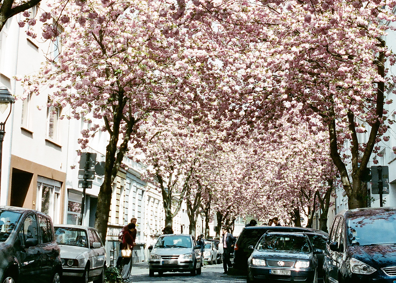 000003740013 copy.jpg