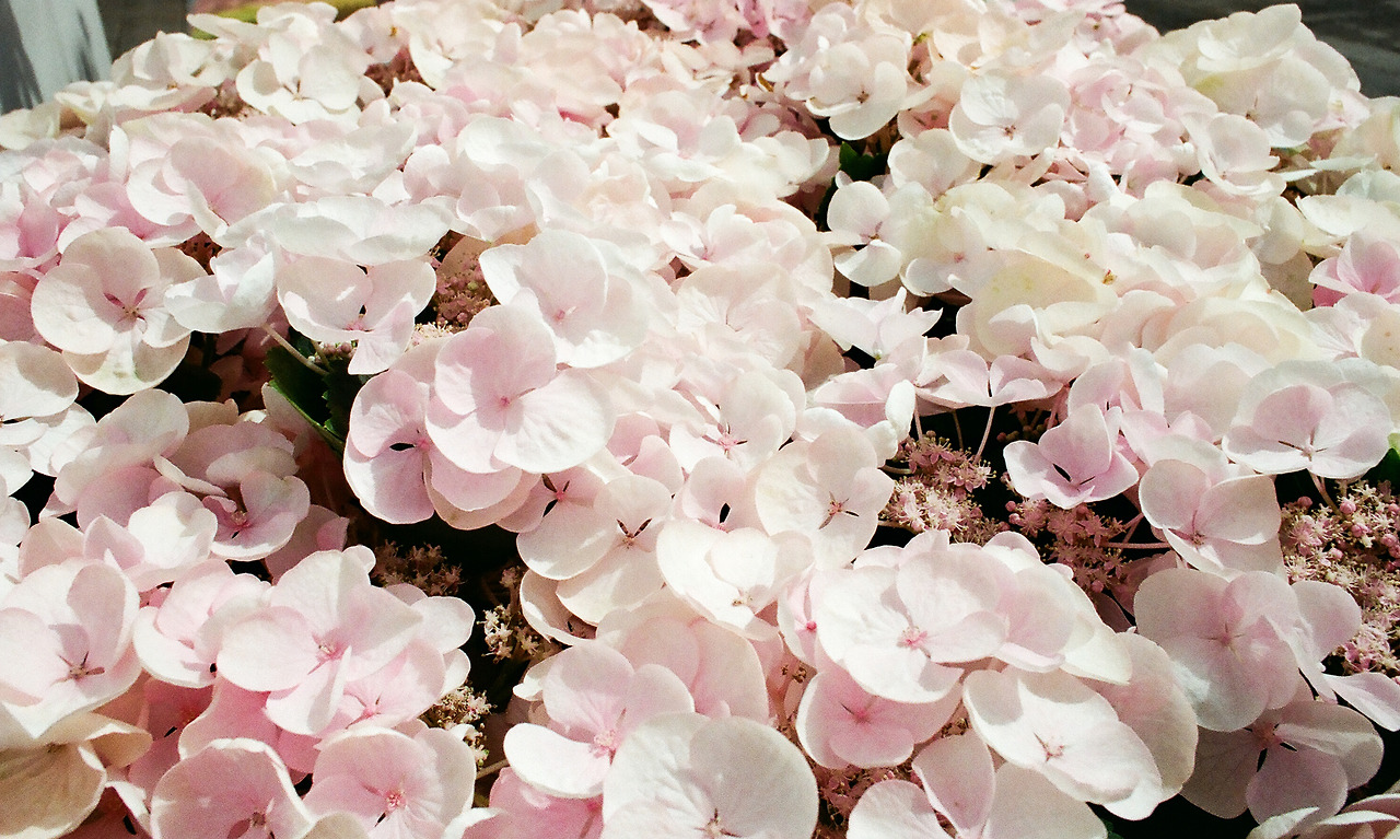 000003690007 copy.jpg