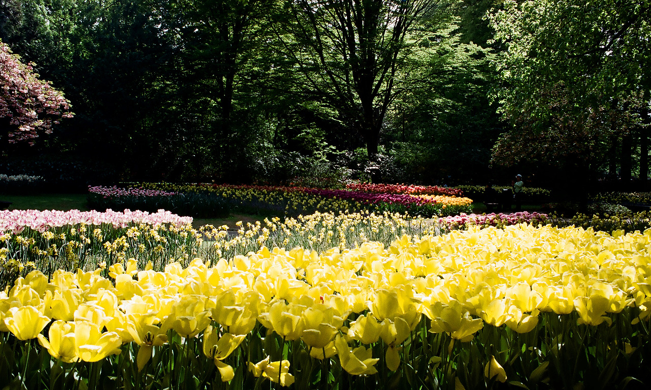 000003690022 copy.jpg