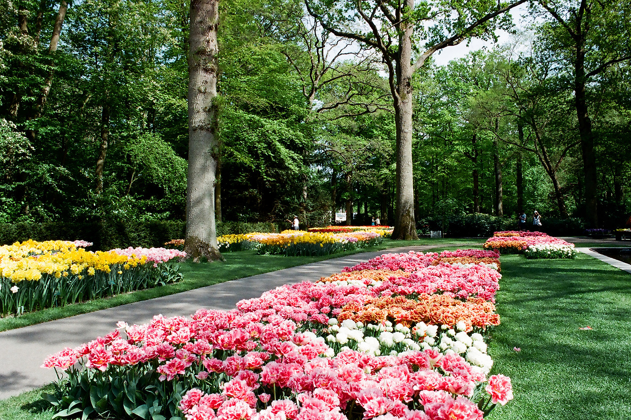 000003690015 copy.jpg