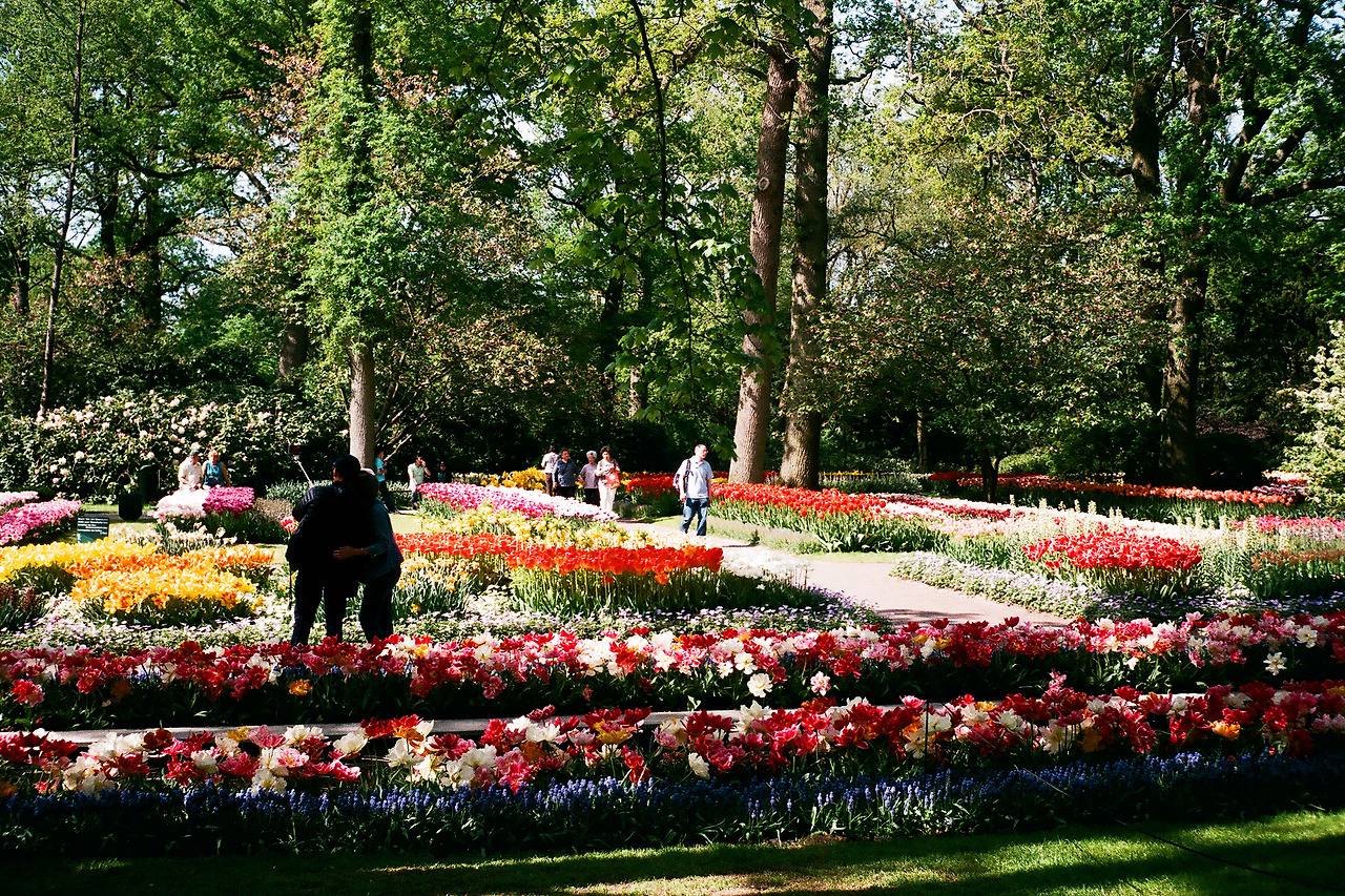 000003540017 copy.jpg