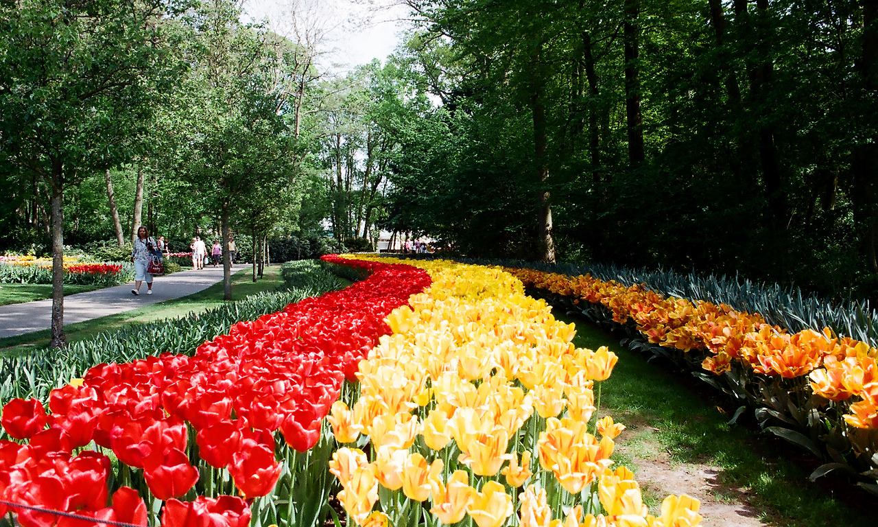 000003690014 copy.jpg