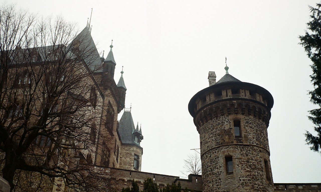 000003600039 copy.jpg