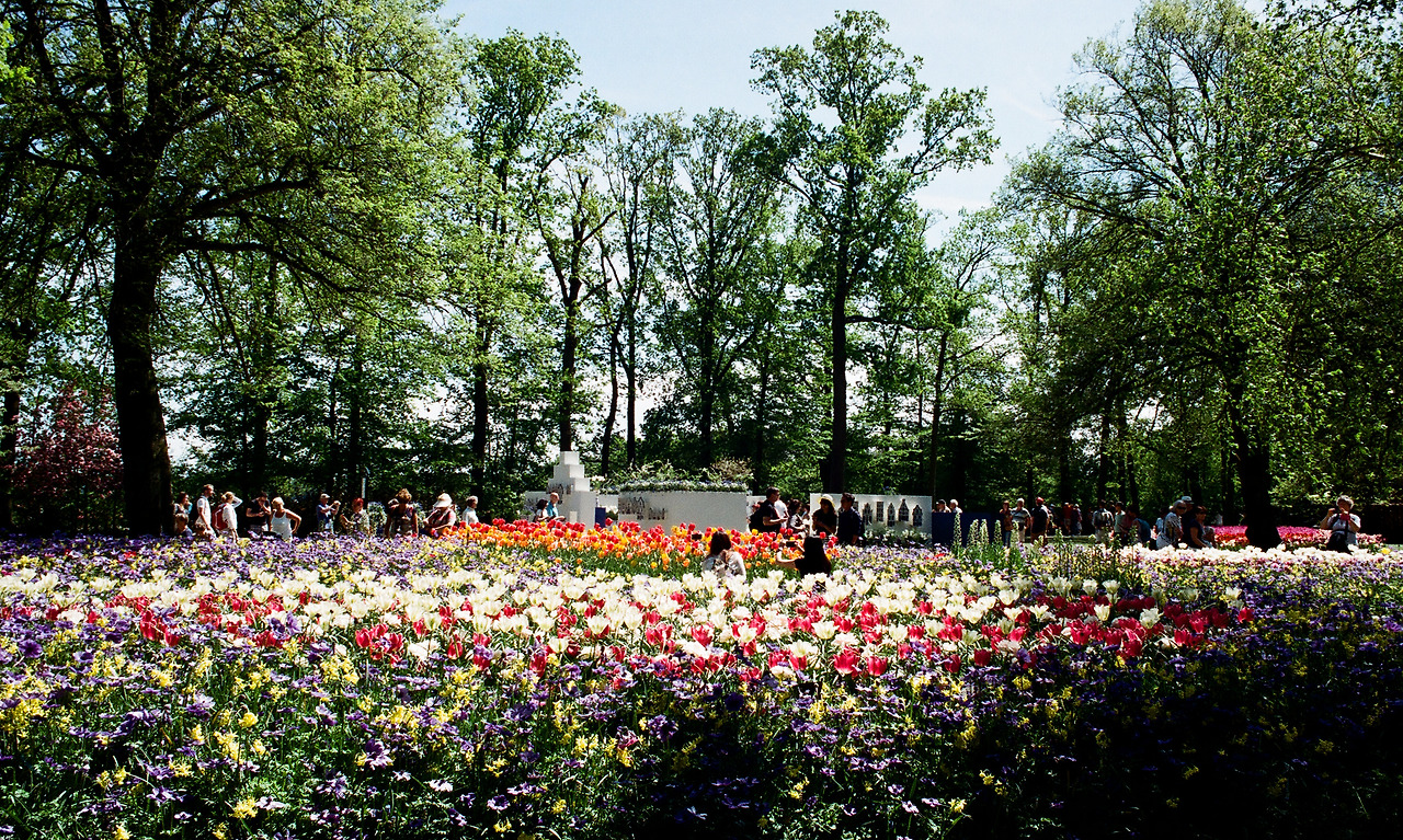 000003690005 copy.jpg