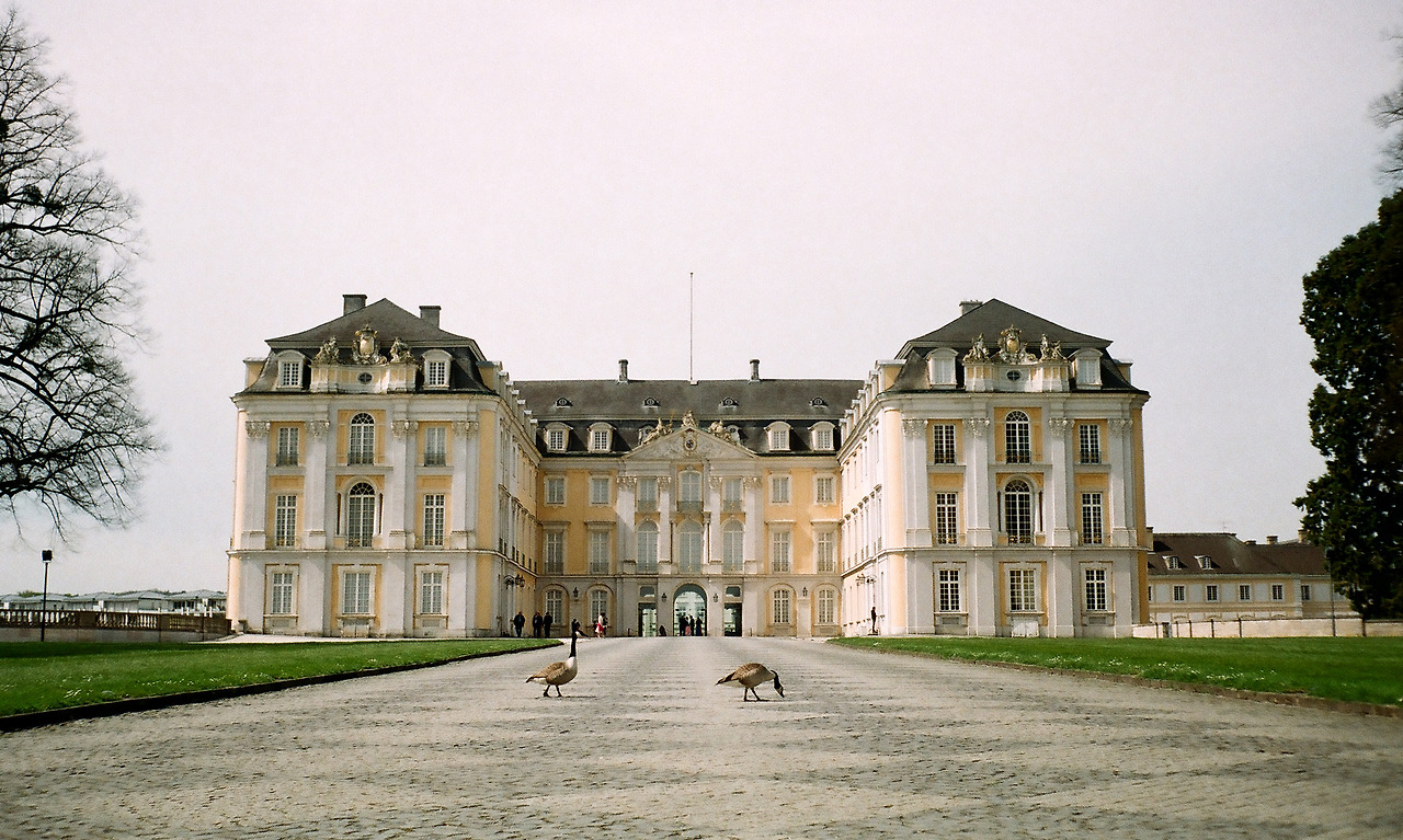 000003510009 copy.jpg