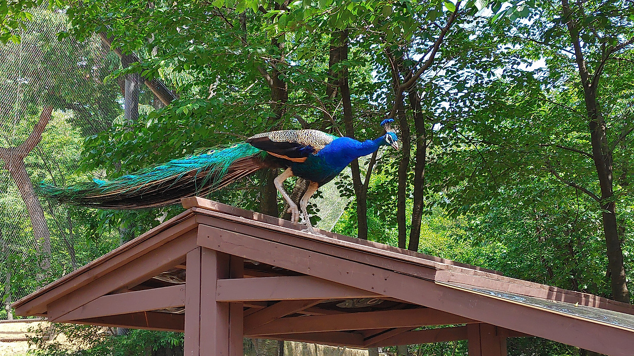 샘플 이미지_20200527_143626.jpg