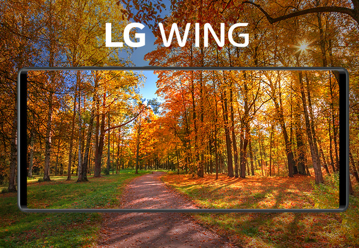 201006_LG_wing_#3 (6).jpg