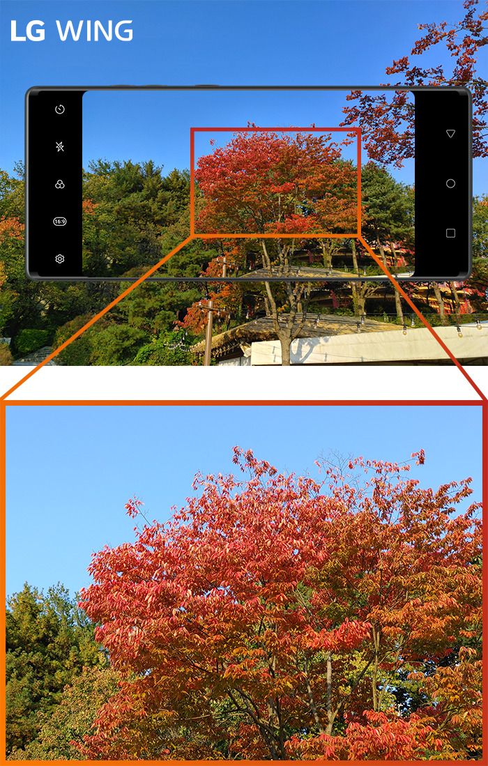 201006_LG_wing_#3 (5).jpg