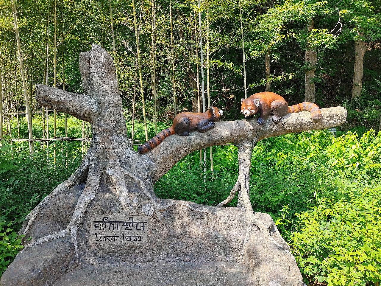 샘플 이미지_20200527_153202_HDR.jpg