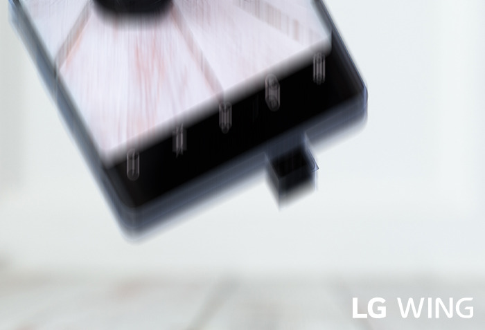 201006_LG_wing_#3 (3).jpg