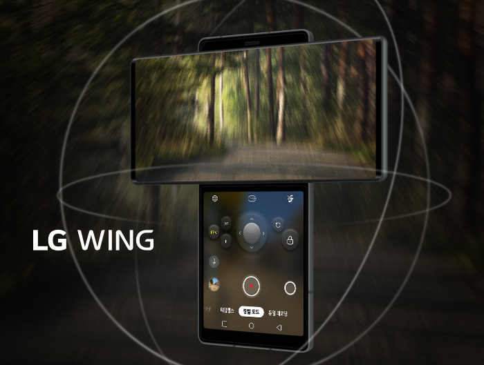 201006_LG_wing_#3 (8).jpg