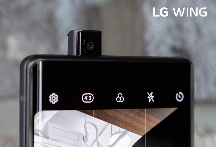 201006_LG_wing_#3 (2).jpg