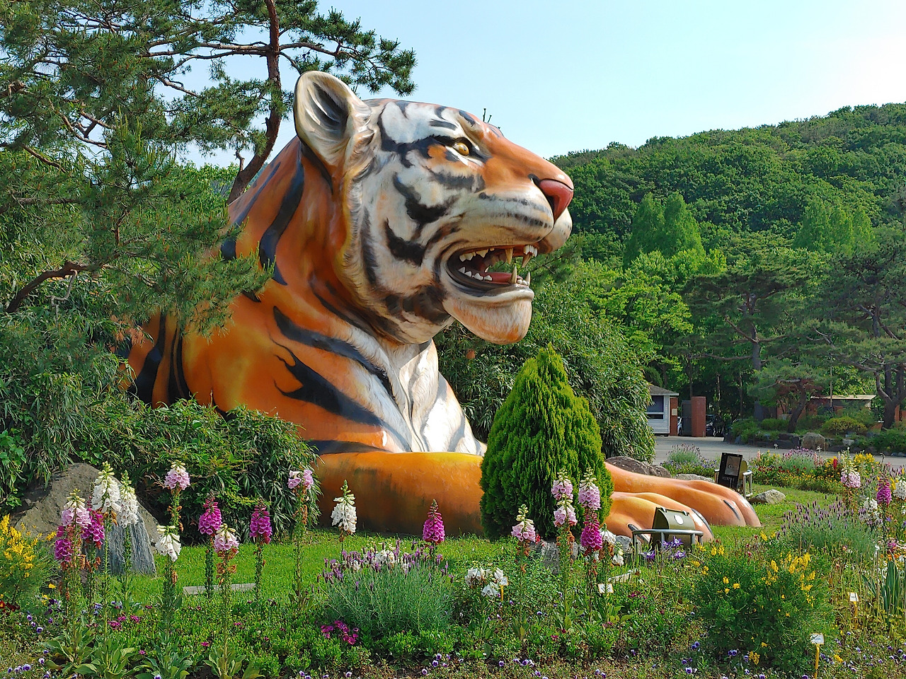 샘플 이미지_20200527_155234.jpg