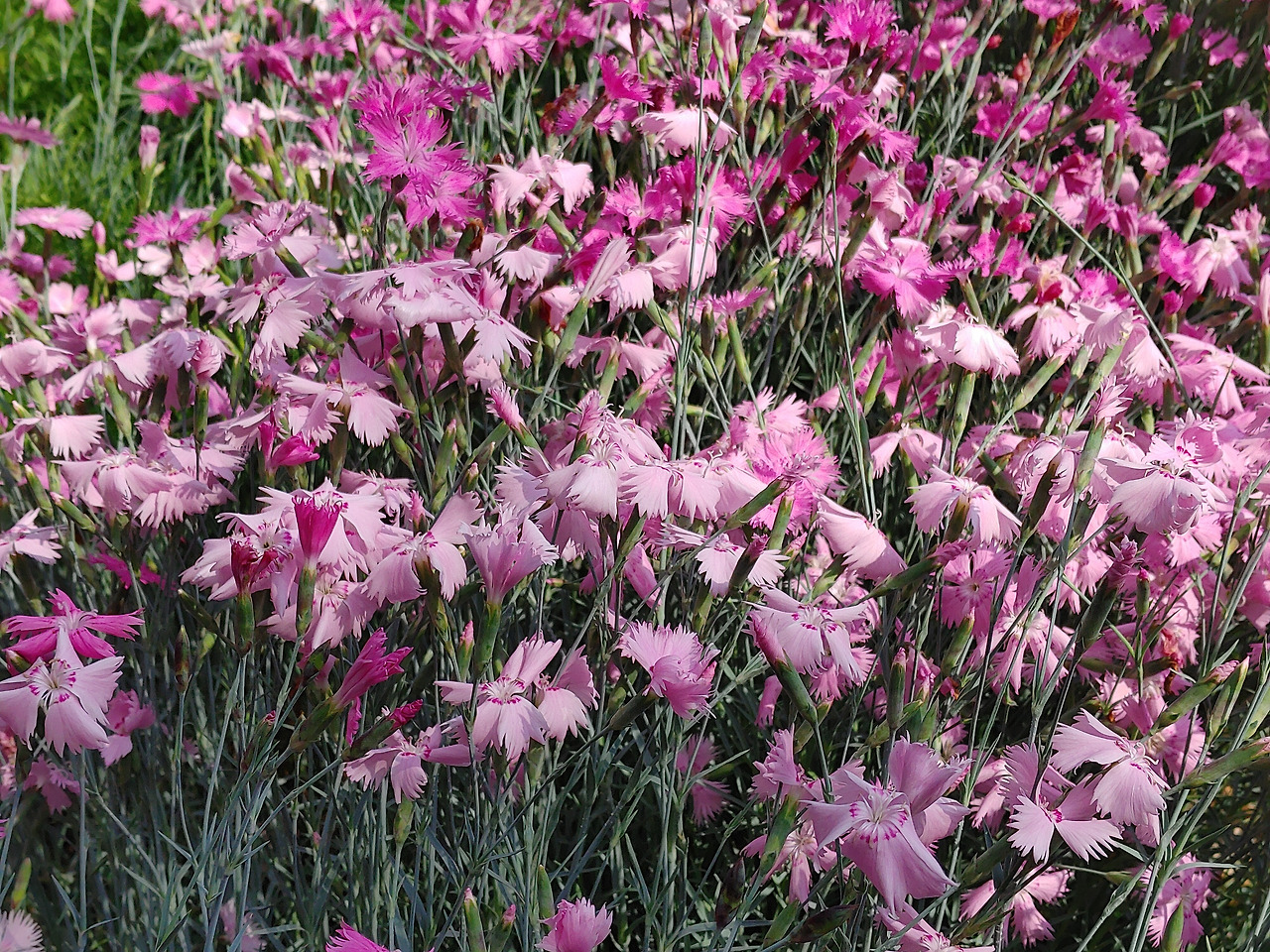 샘플 이미지_20200527_152058.jpg