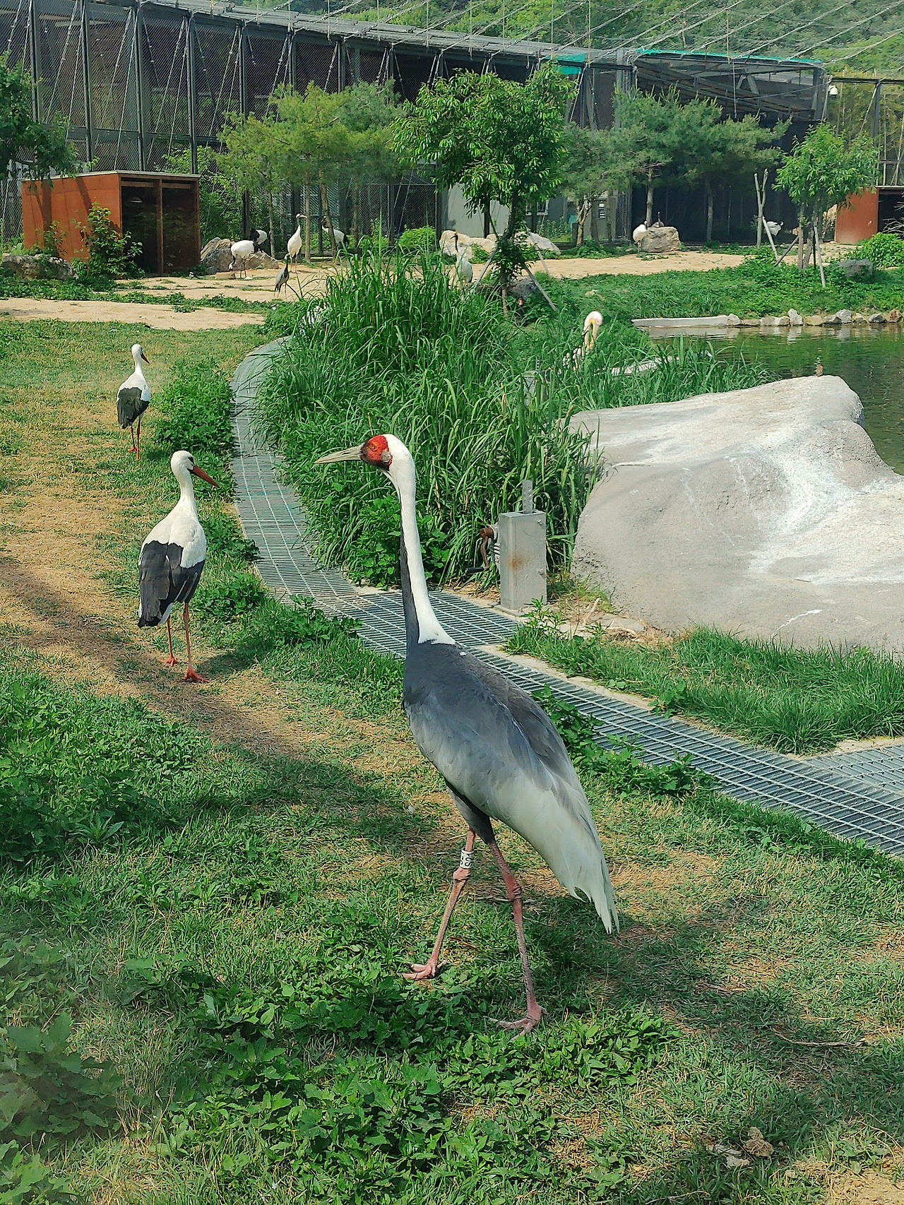 샘플 이미지_20200527_150208.jpg