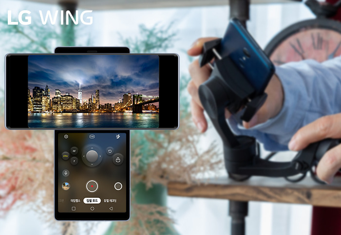 201006_LG_wing_#3 (7).jpg