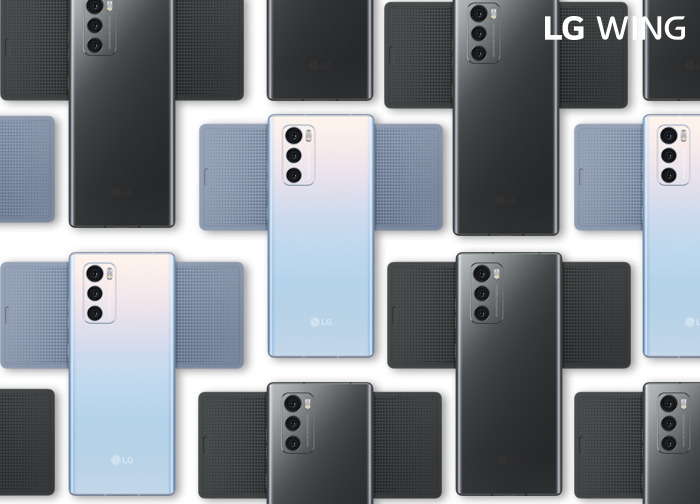 201006_LG_wing_#3 (1).jpg