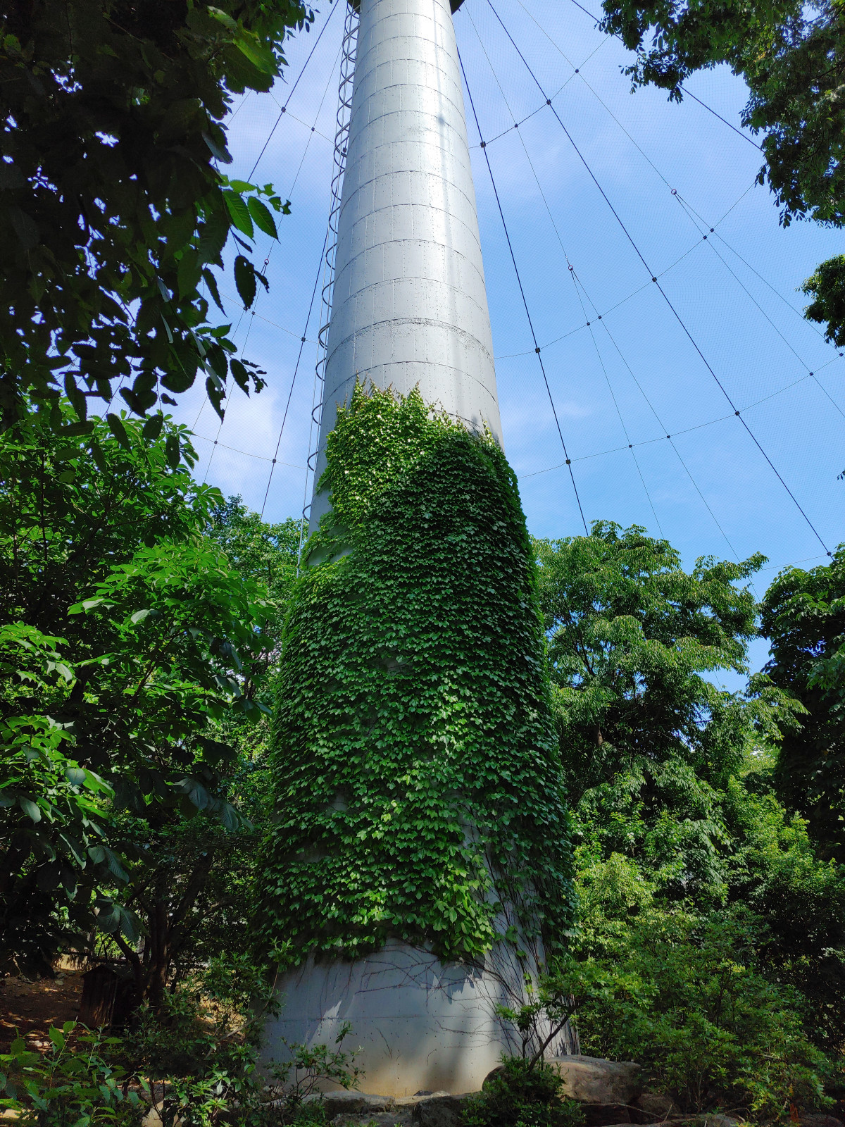 샘플 이미지_20200527_143422.jpg