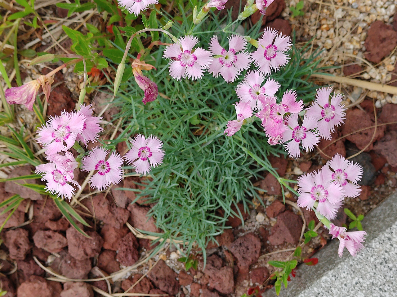 샘플 이미지_20200514_092647.jpg